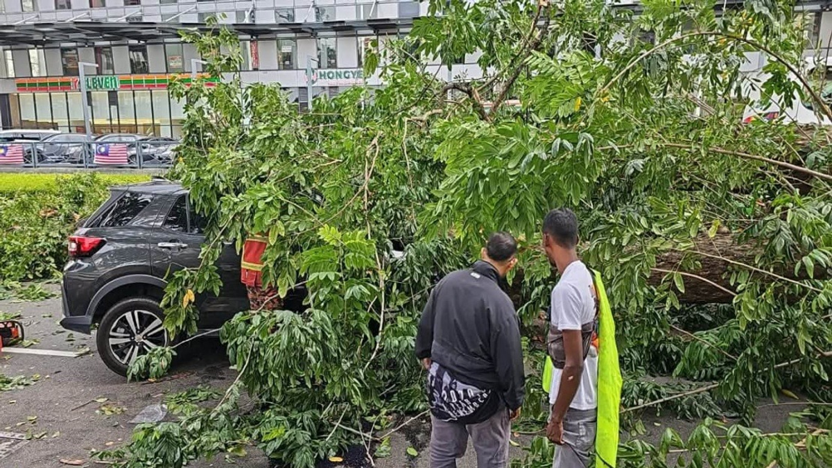 Quick-Thinking Bystanders Save Family After Tree Crashes Into Car in Penang