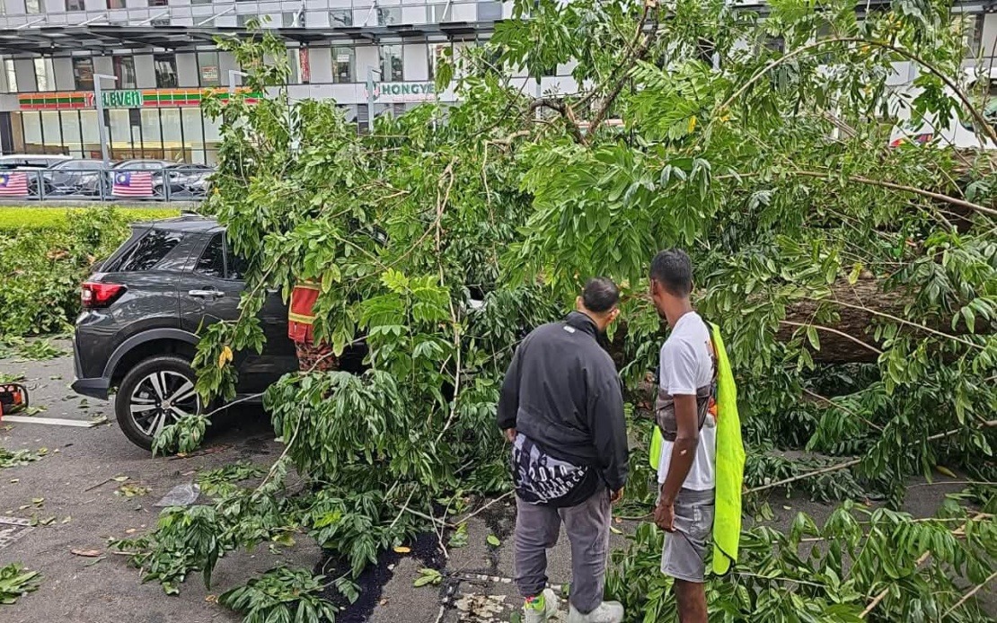 Quick-Thinking Bystanders Save Family After Tree Crashes Into Car in Penang
