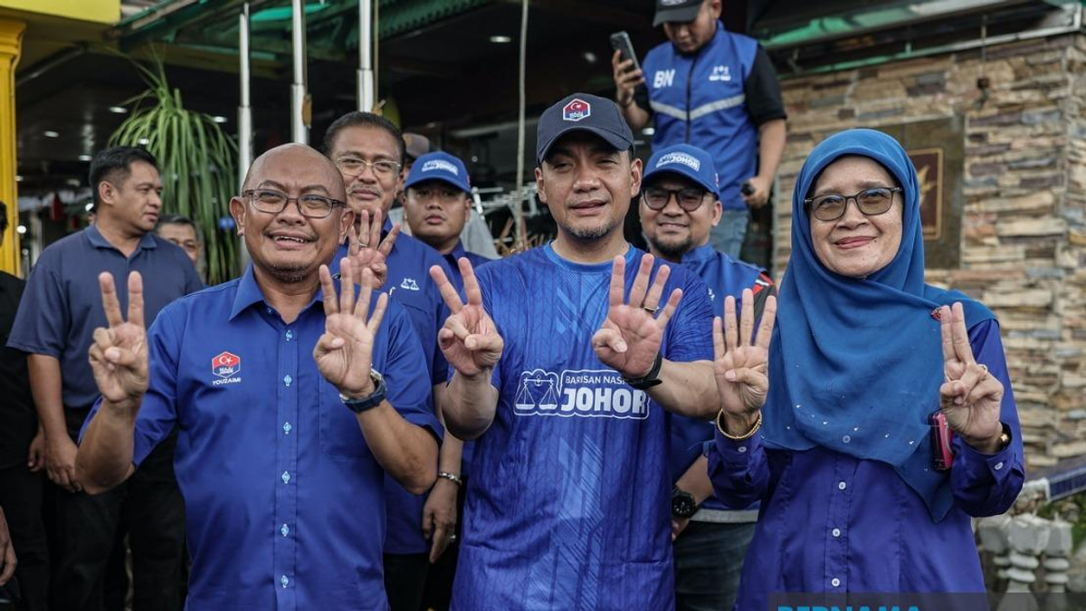 Johor Election: BN's Power-Sharing Model Demands Sacrifice and Party Discipline, Says Onn Hafiz