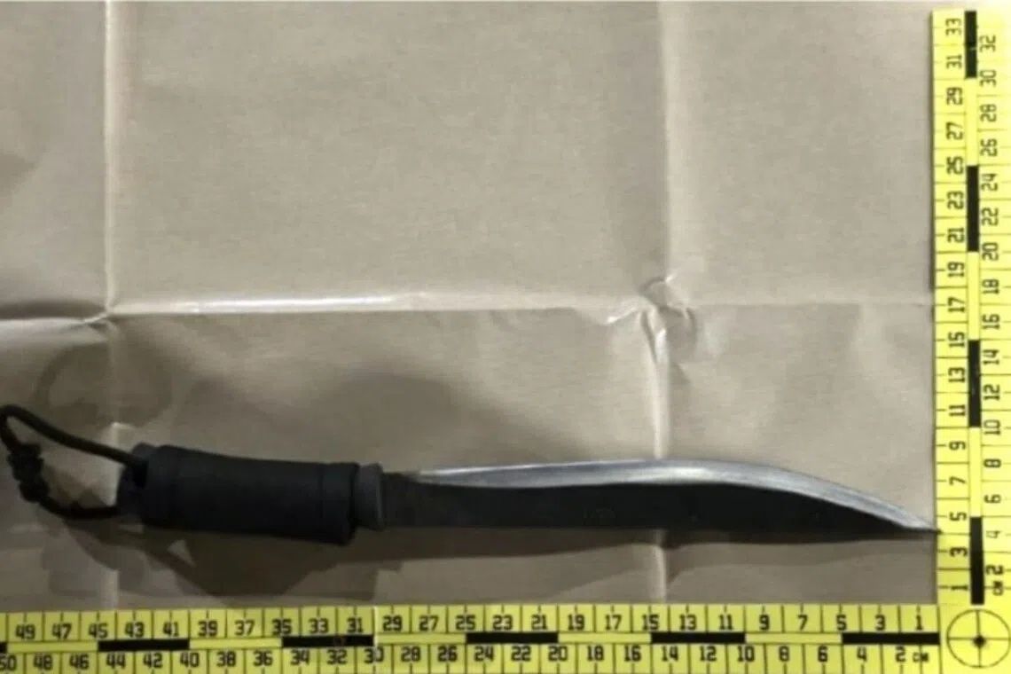 Four arrested in Singapore after armed carpark abduction linked to car rental dispute