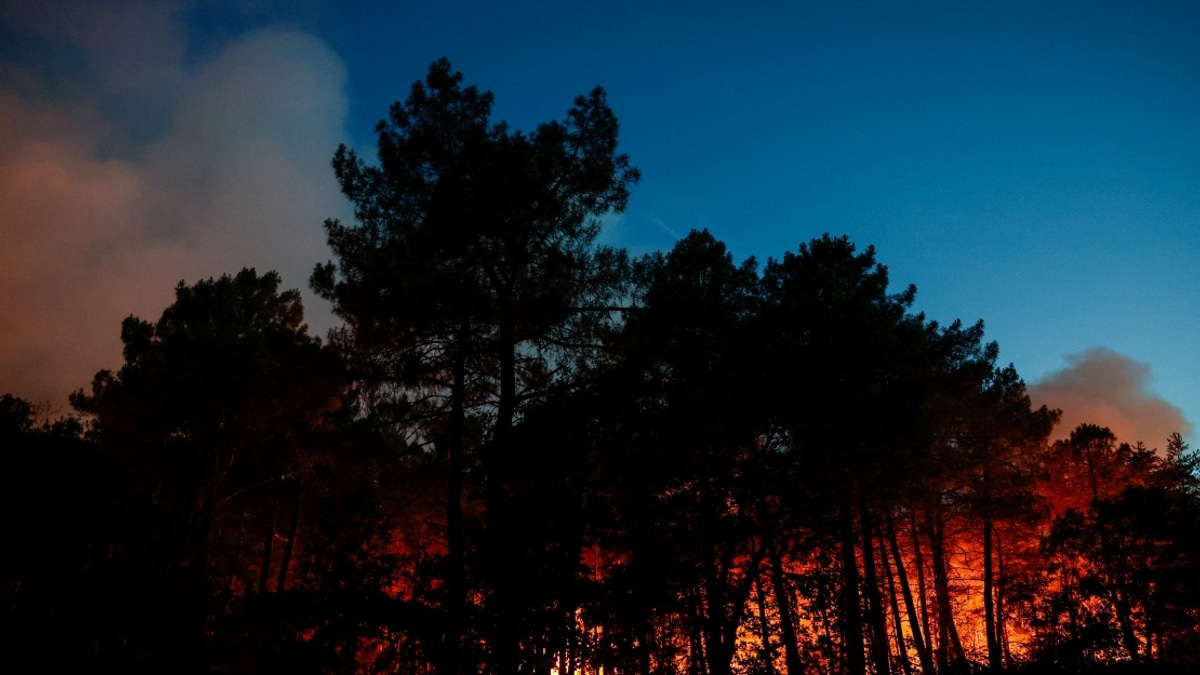 Massive Wildfire Engulfs Fontainebleau Forest Near Paris as Arson Suspected