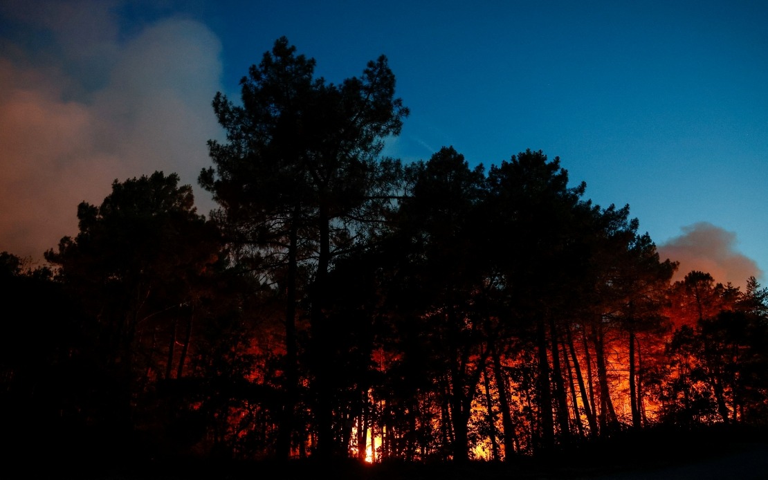 Massive Wildfire Engulfs Fontainebleau Forest Near Paris as Arson Suspected