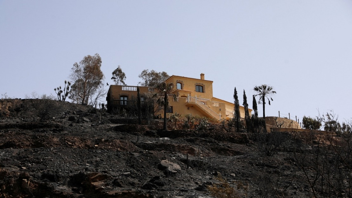 Spanish Wildfire Death Toll Reaches 13 as Almeria Blaze Stabilised