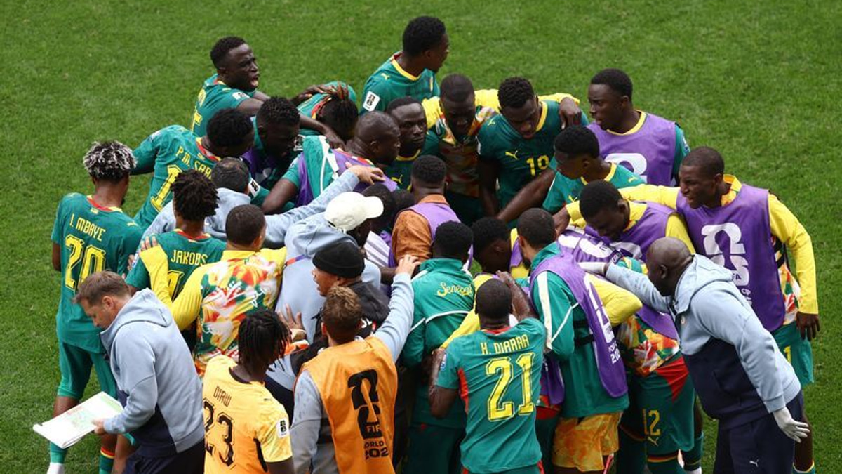 Senegal Football Federation Blames Team Doctor's Lack of Specialist Training After World Cup Disappointment