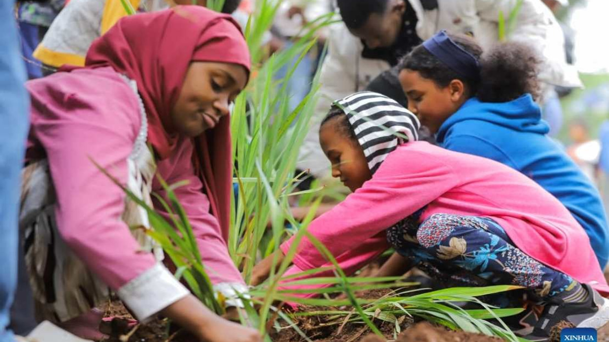 Ethiopia Plants 800 Million Trees in Single Day as Part of Ambitious Green Legacy