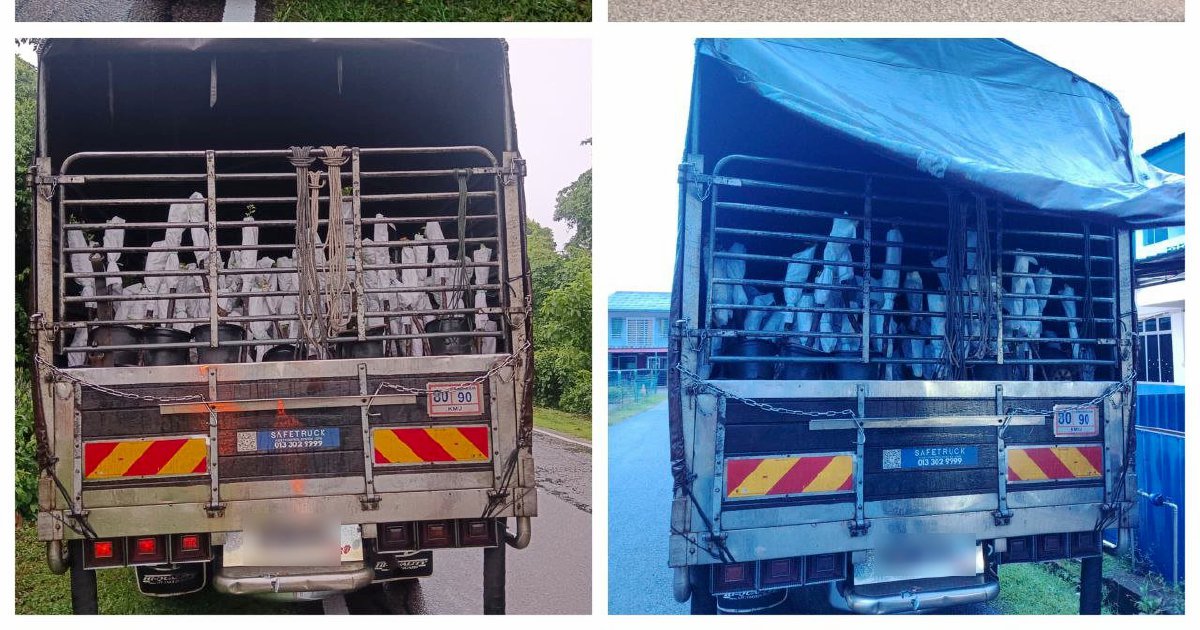 Two arrested with RM85,000 smuggled plant saplings at Rantau Panjang