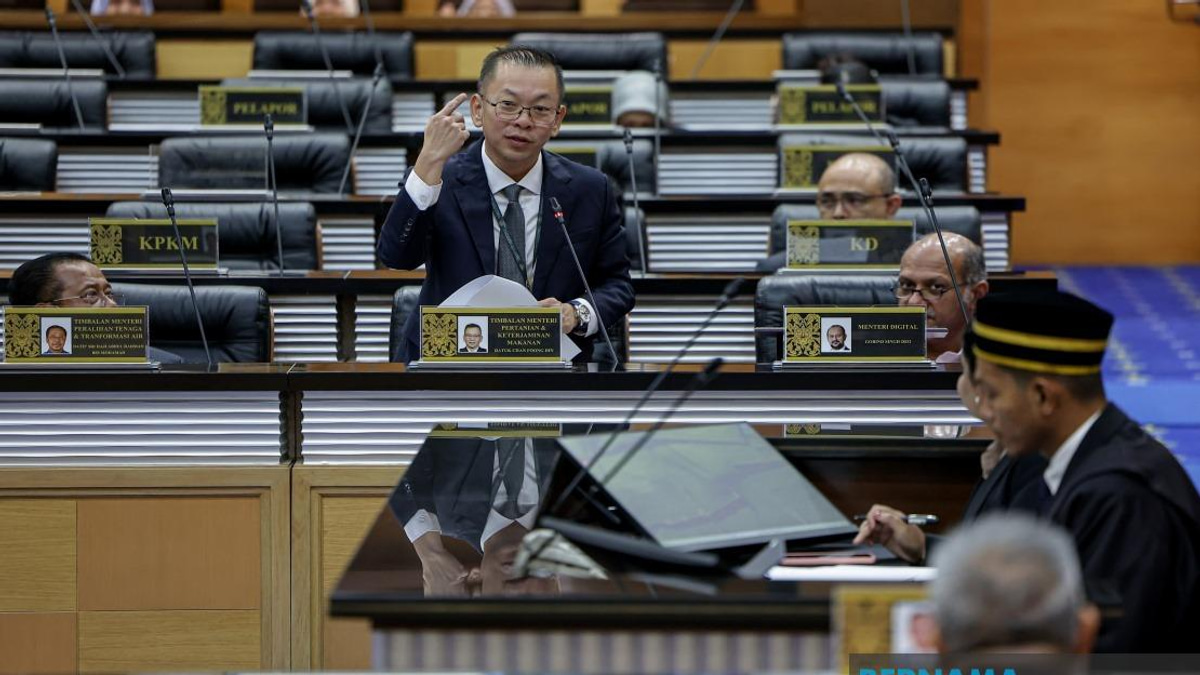 Rice Market Oversight Targets Supply Chain, Not Farmers, Says Deputy Minister