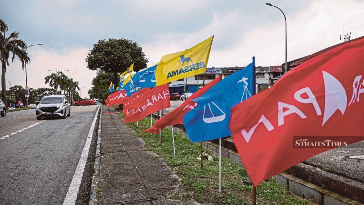 Johor Elections: Police Launch 18 Probes Into Alleged Campaign Violations