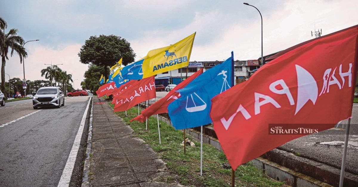 Johor Elections: Police Launch 18 Probes Into Alleged Campaign Violations